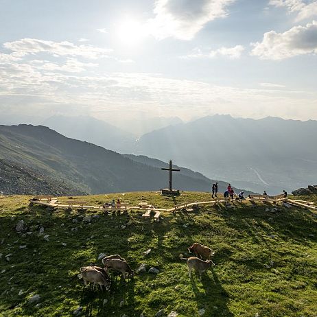 Laengste-Zirbenbank-Schartenkogel©tourismusverbandhallwattens